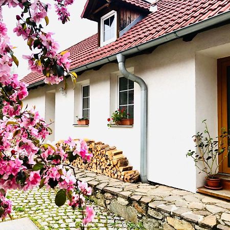 Apartmány Jílovice Kültér fotó